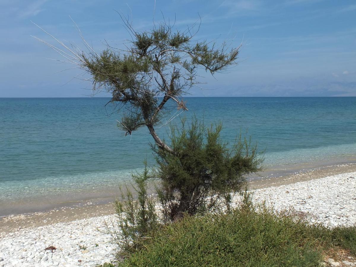 Frosos Beachfront Maisonette Acharavi Aharávi Kültér fotó